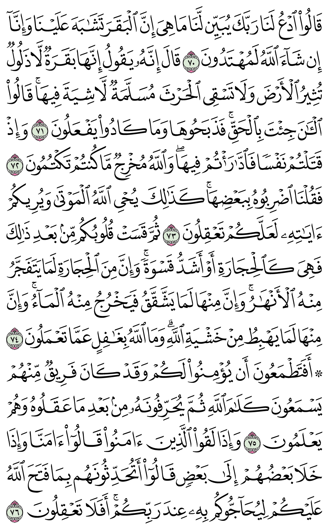 صفحة 11