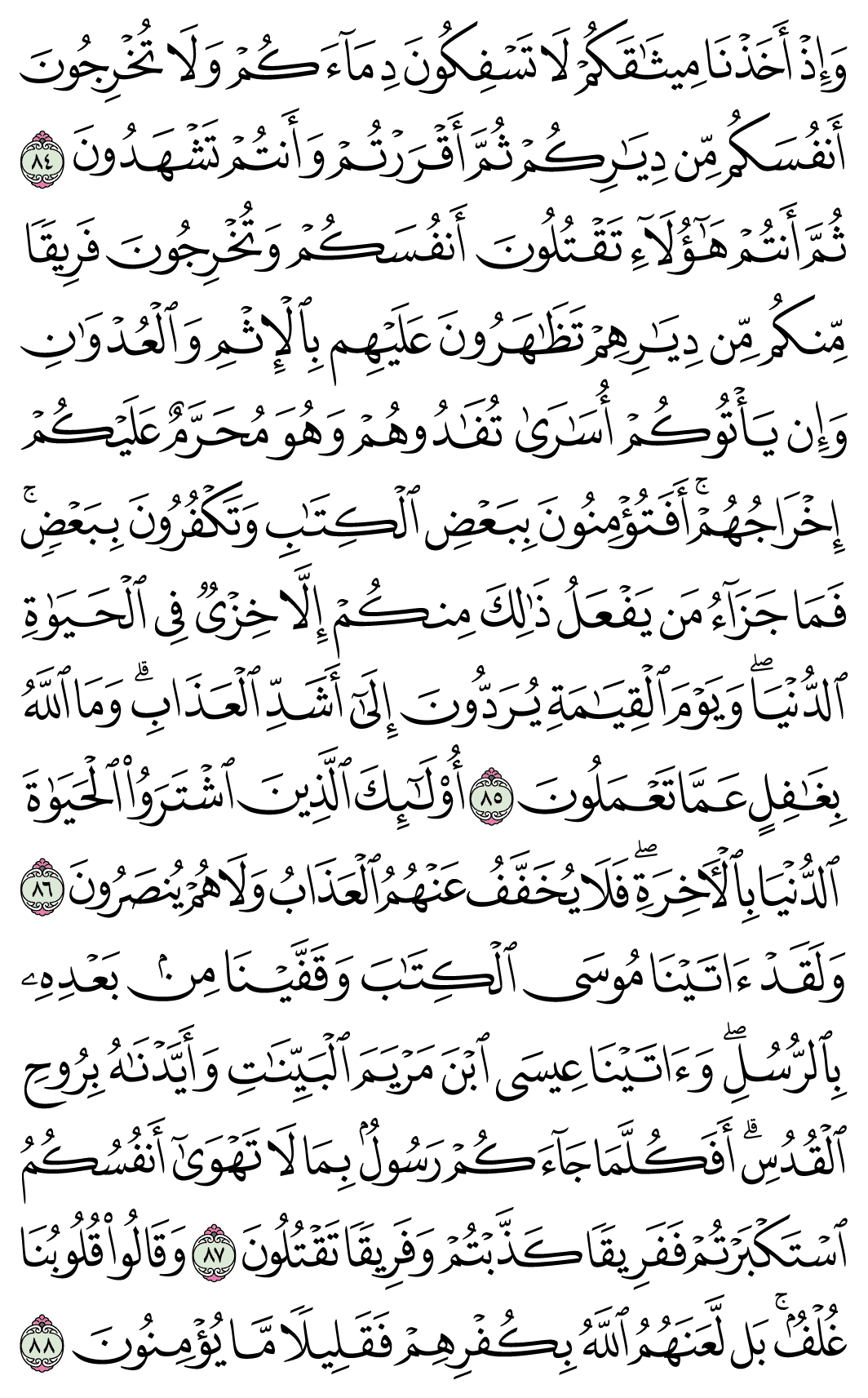 صفحة 13