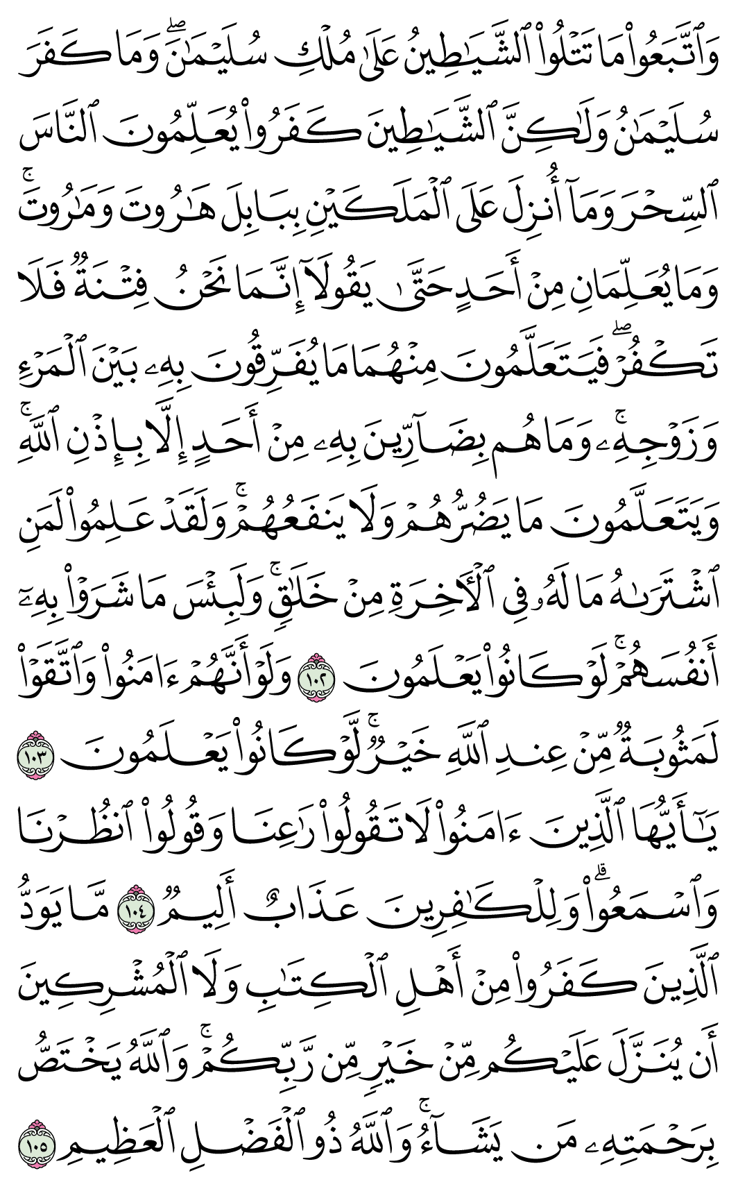 صفحة 16