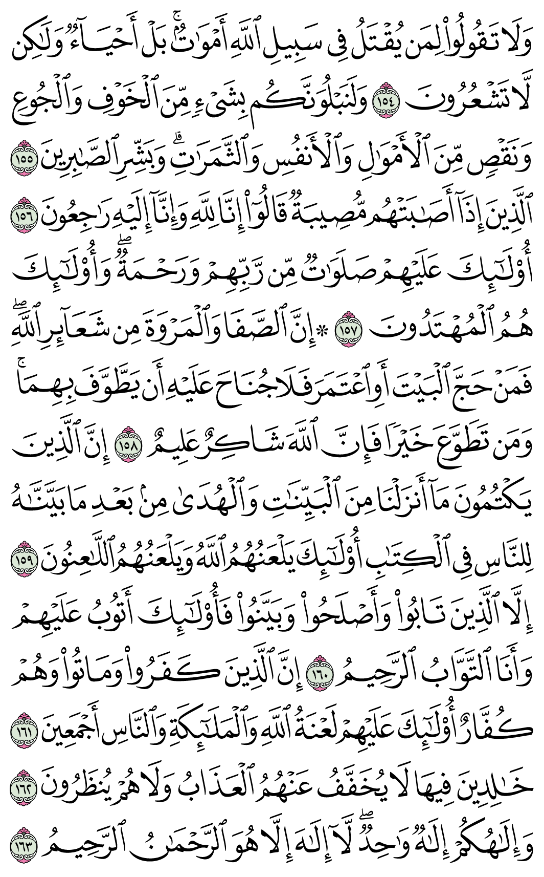صفحة 24