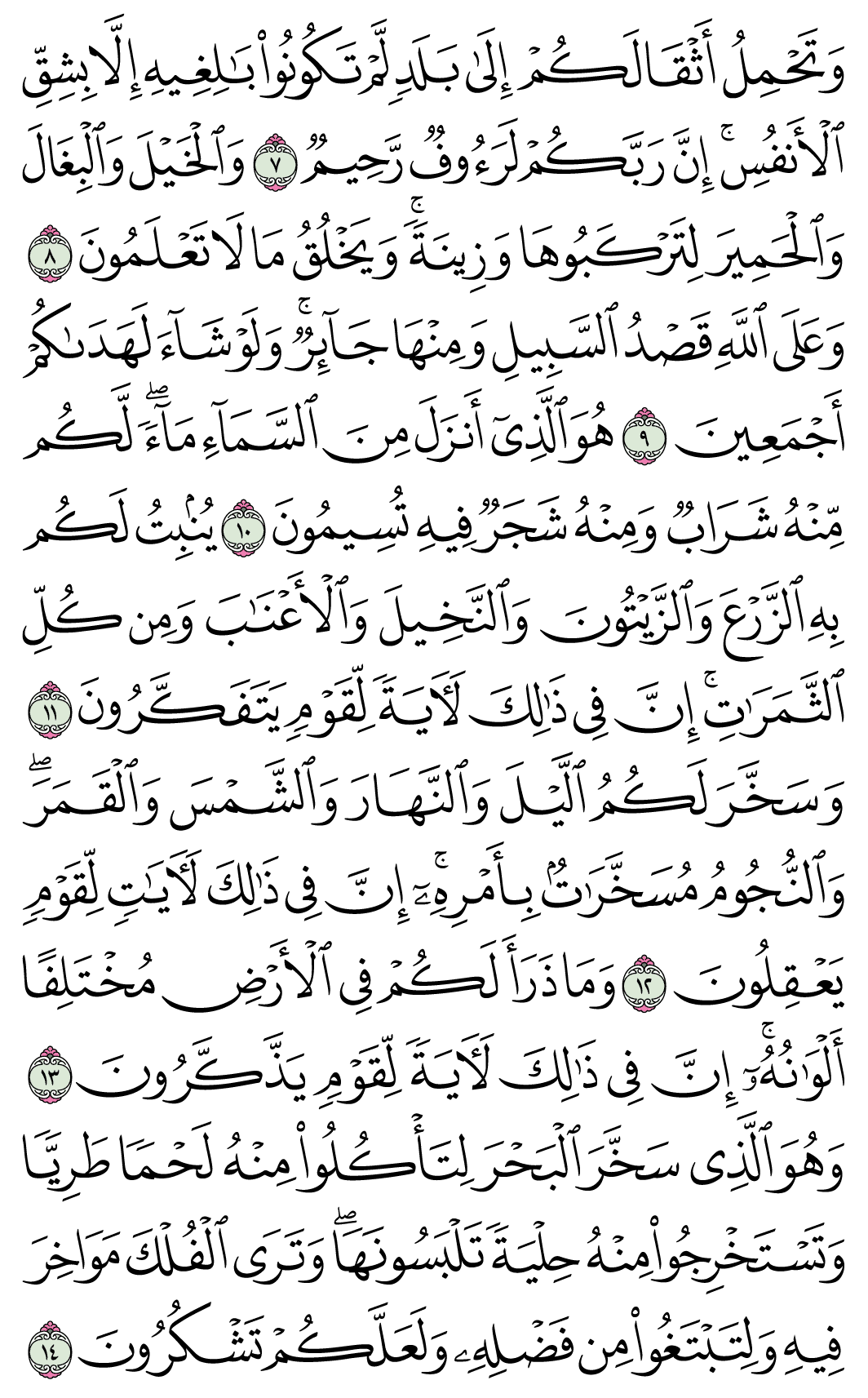 صفحة 268