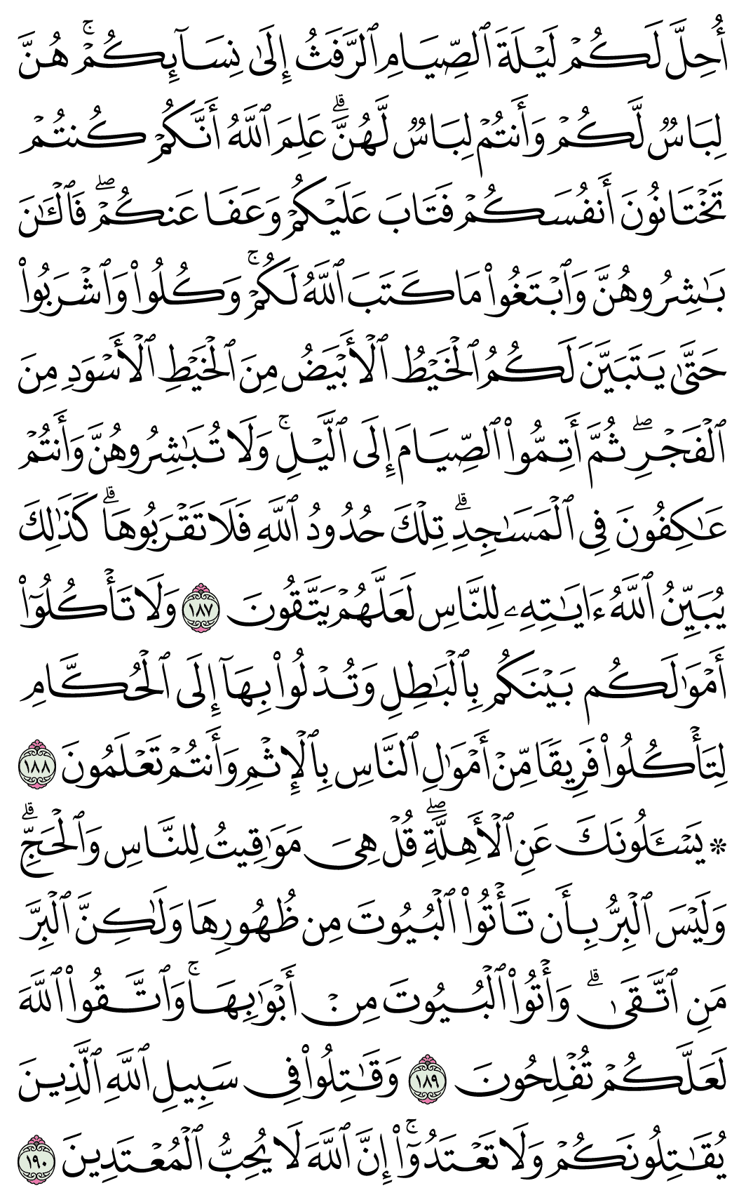 صفحة 29