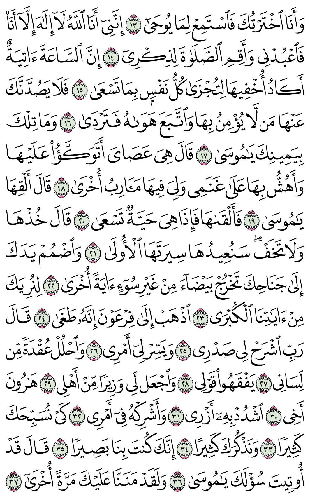 صفحة 313