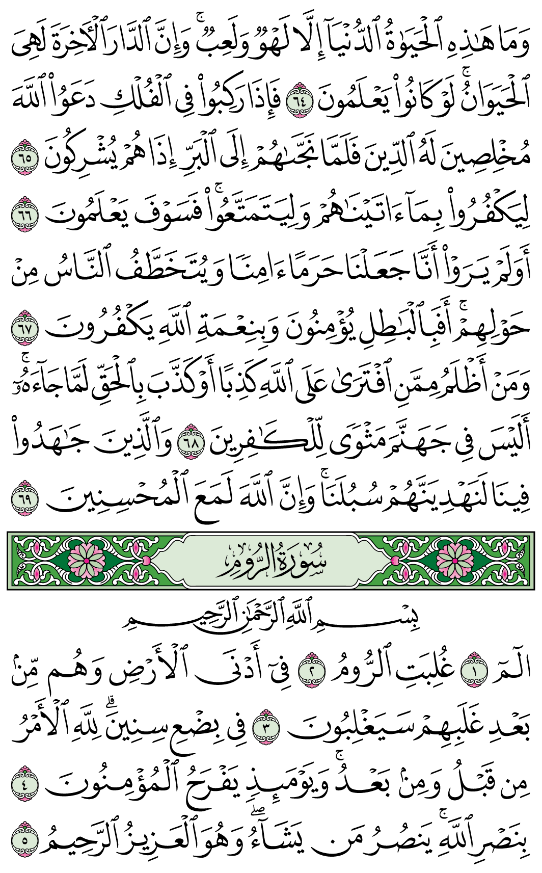 صفحة 404