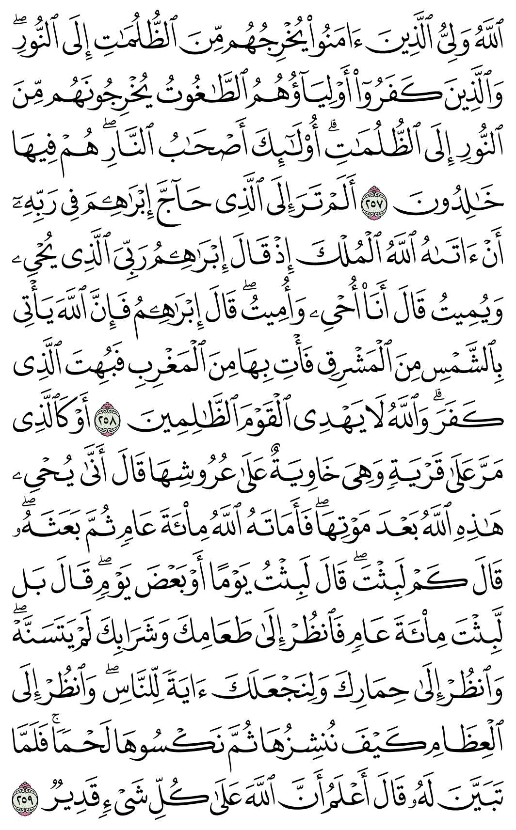 صفحة 43