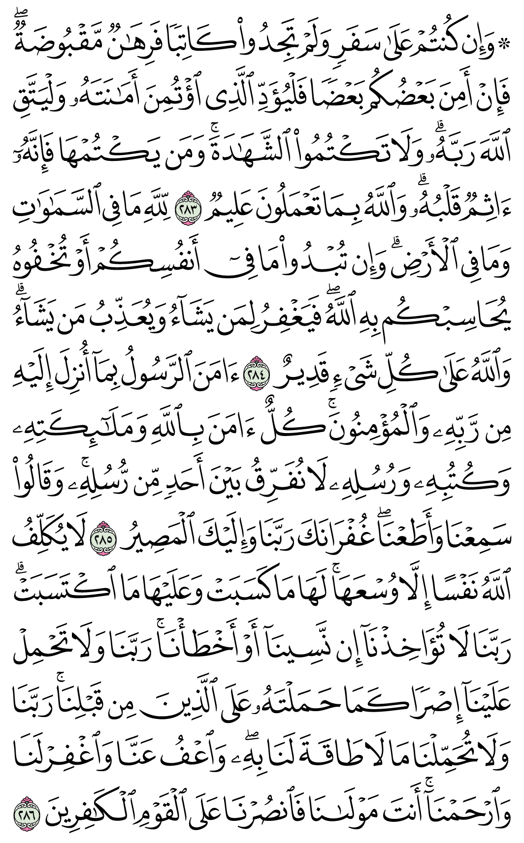 صفحة 49