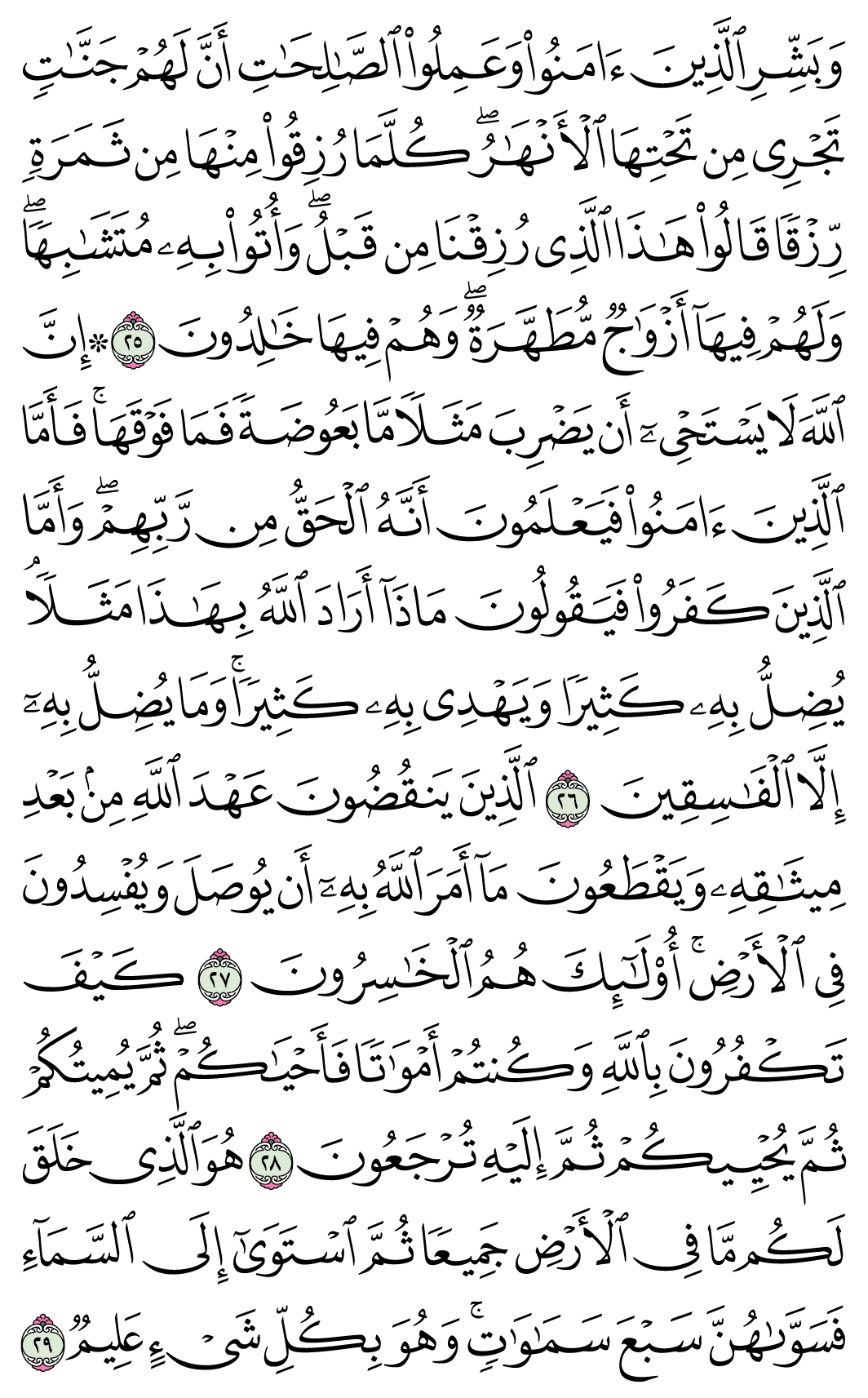 صفحة 5