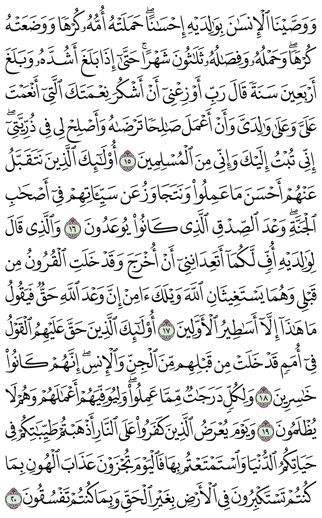 صفحة 504