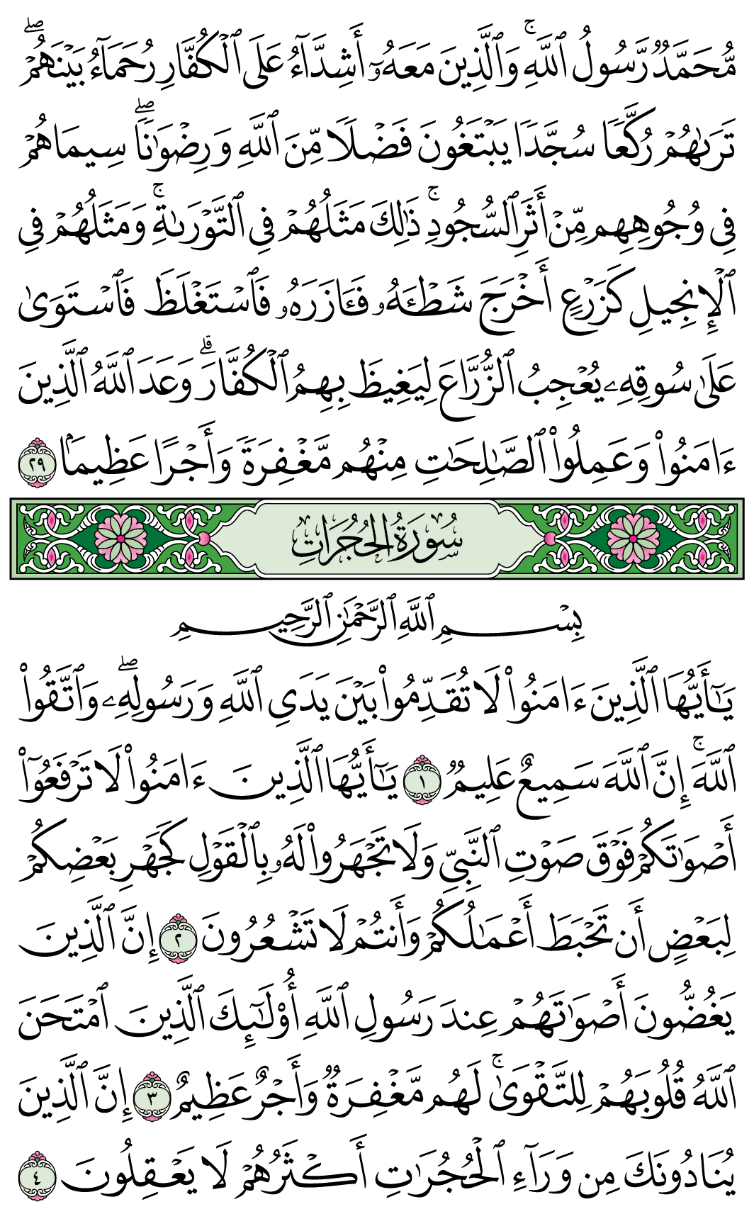 صفحة 515