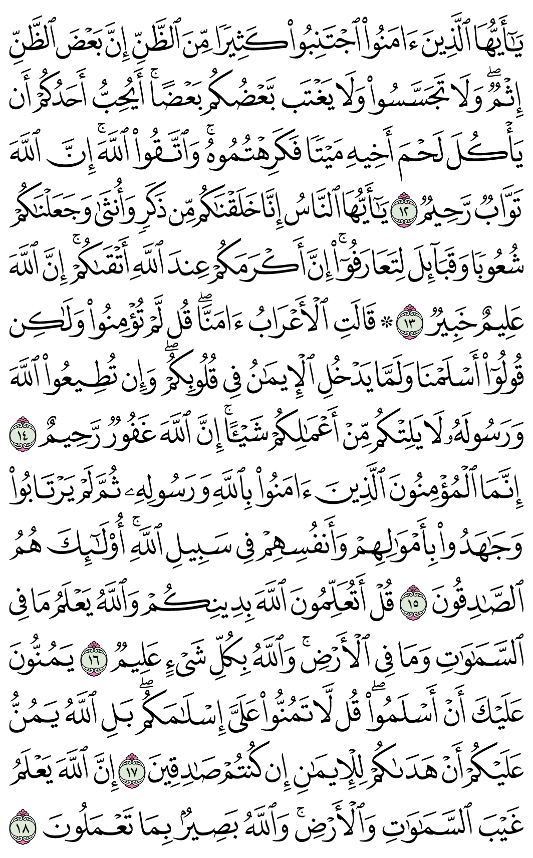 صفحة 517