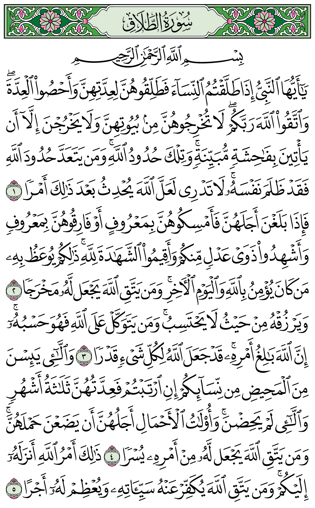 صفحة 558