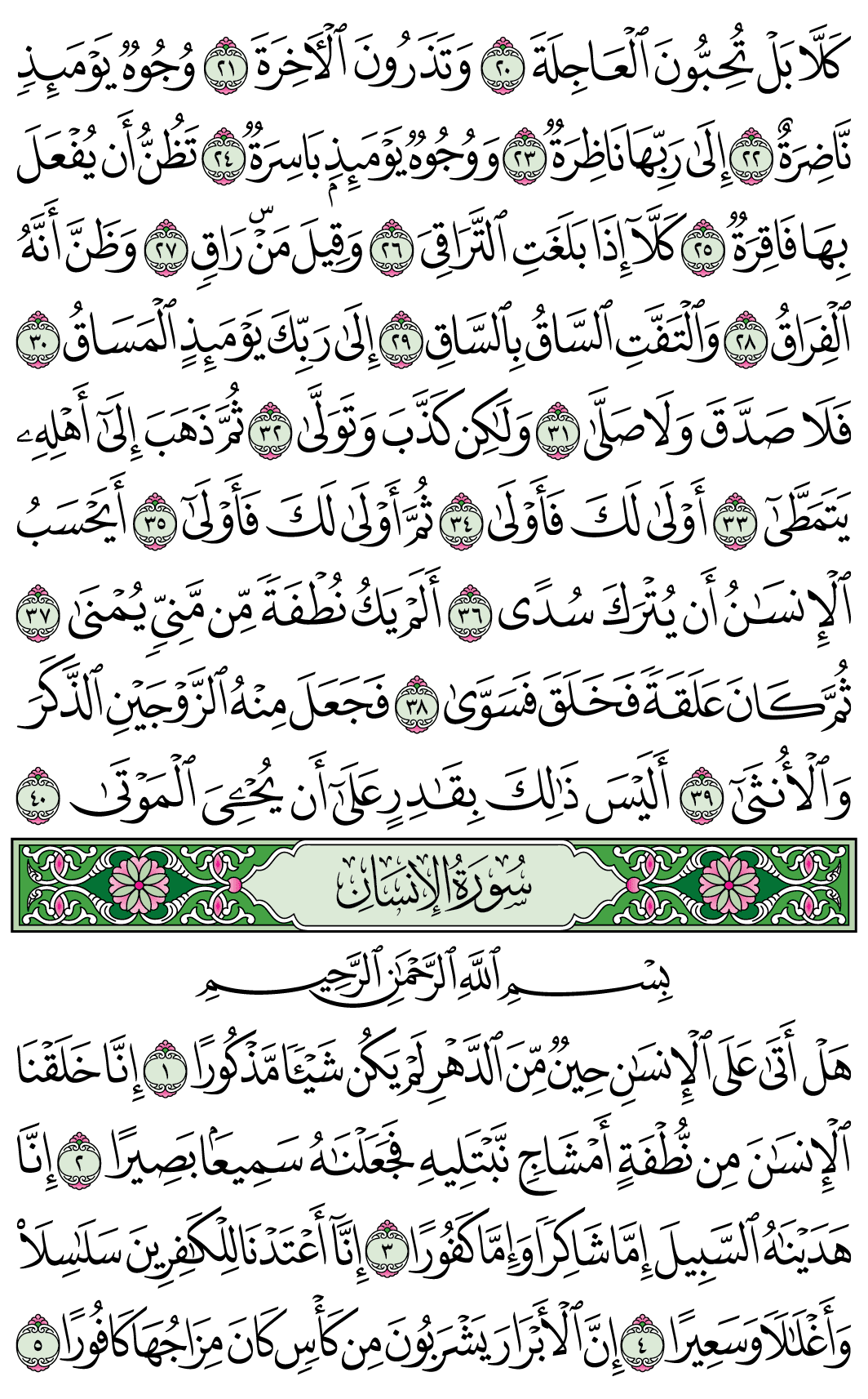 صفحة 578