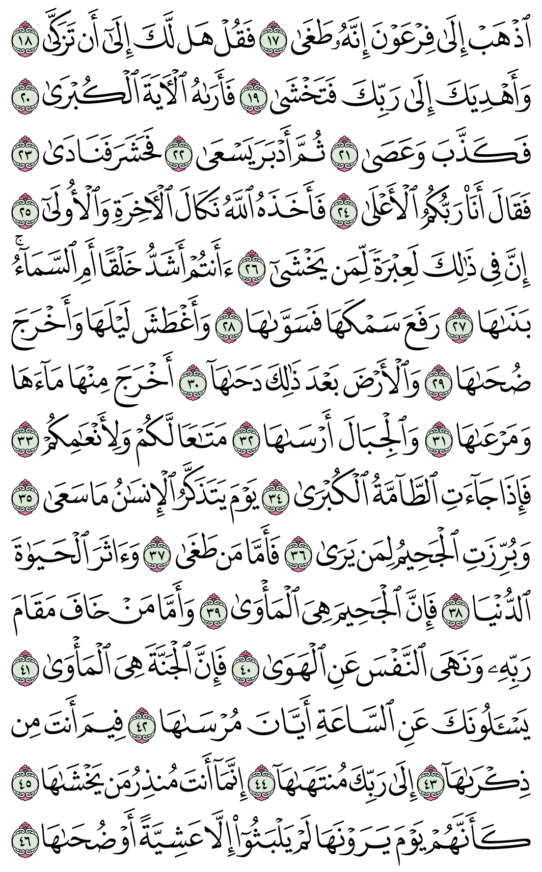 صفحة 584