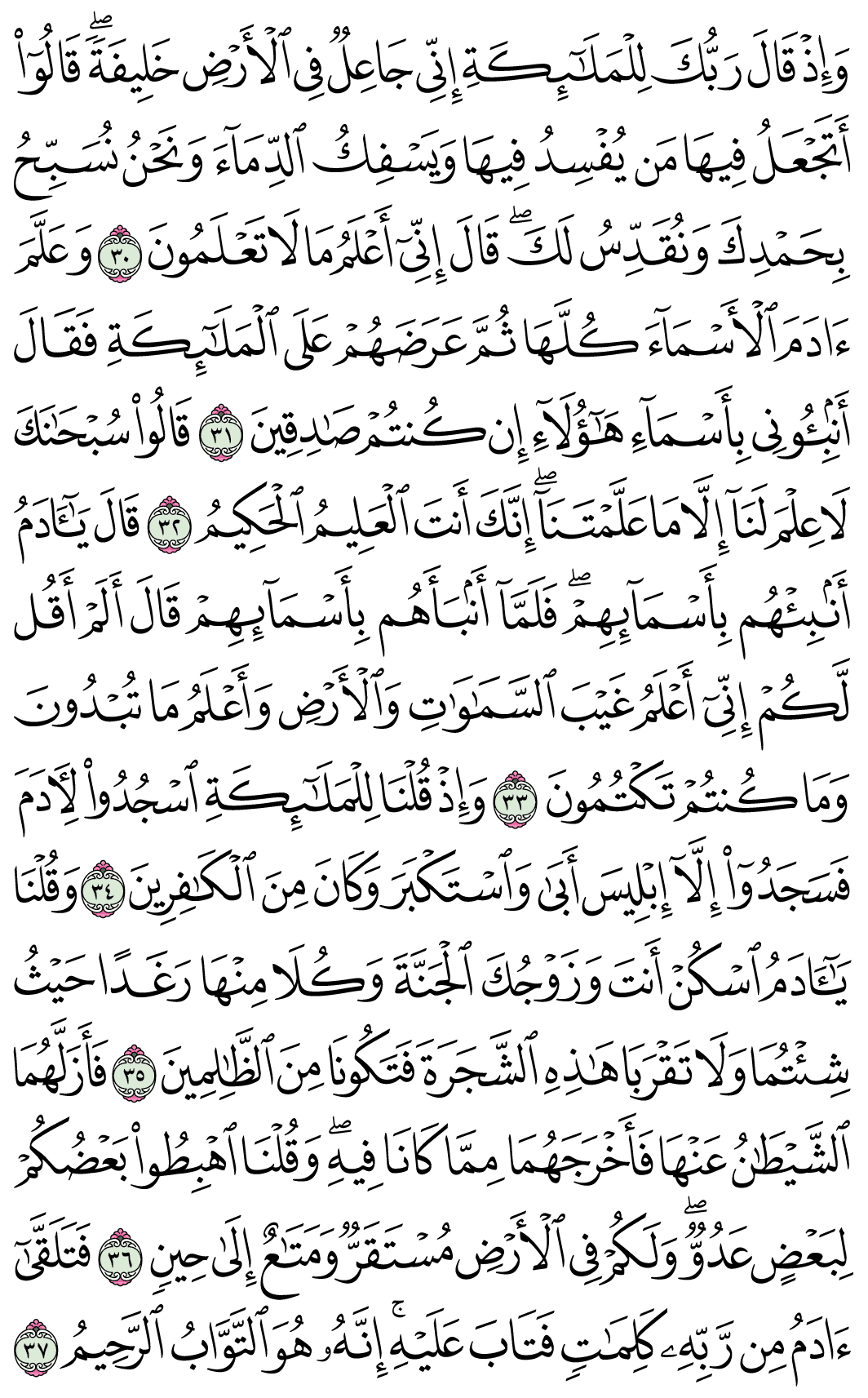 صفحة 6