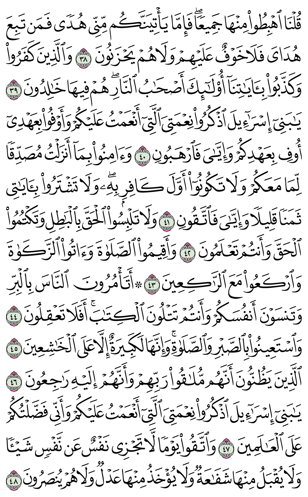 صفحة 7