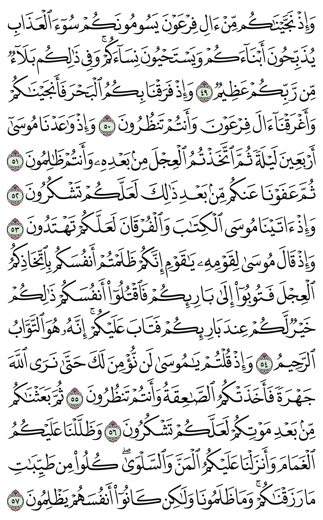 صفحة 8